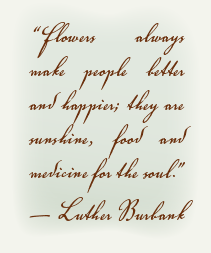 flowers